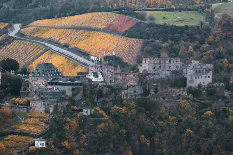 Rhine Valley Castles &amp; Wine: A 3-Day Scenic River Cruise Planning Guide from Heidelberg.